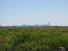 IMG_2212.JPG
