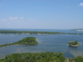 IMG_2990.JPG
