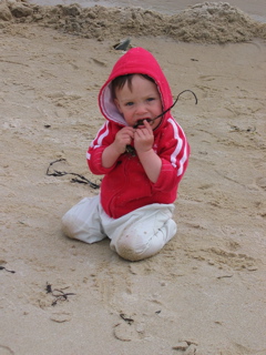 Seaweed is Yummy!