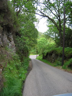 Single Track Road of Death!