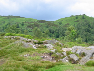 Queen Elizabeth Forest