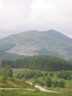 Queen Elizabeth Forest