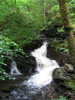 Balquhidder - Falls by Boar's Rock