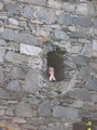 Tioram Castle - The Fare Maiden Lauren