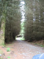 Bein Bhreac - Single Track Road