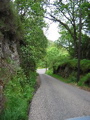 Single Track Road of Death!