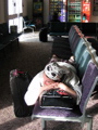Lauren waits patiently at Glasgow Airport