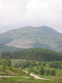 Queen Elizabeth Forest