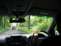 The way to Baturich