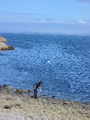 Bein Bhreac - Peable Beach